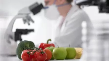 Новый порядок проверки сельхозпродукции запущен в пяти регионах РК