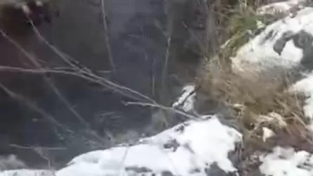 Абай облысында құтқарушылар 69 жастағы ер адамның өмірін сақтап қалды