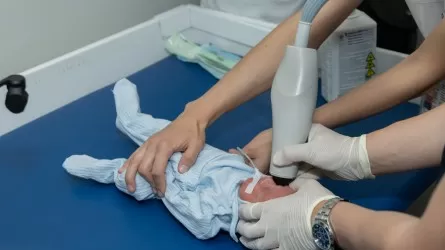 Самые маленькие и … самые сильные 