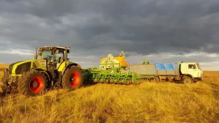 «Рекордтық жыл»: Қазақстанда астық жинау толығымен аяқталды