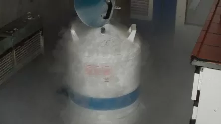 В одном из клубов Астаны торговали "веселящим газом"