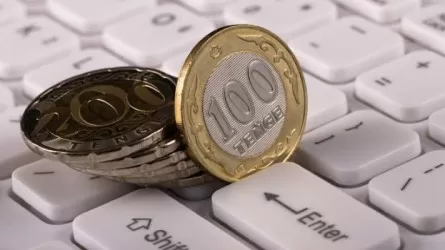 Кейбір мақсатты төлемдер мемлекеттік бюджетке жетпей жатыр – сенатор