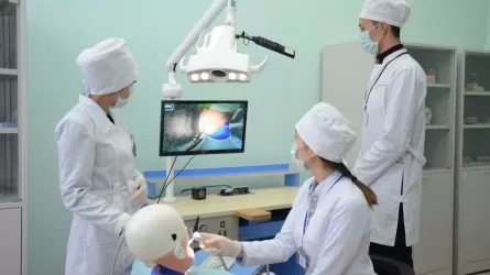 Соңғы бес жылда 2,5 мыңға жуық медицина қызметкері шетелге жұмысқа кеткен &ndash; вице-министр