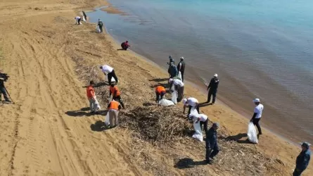 Еліміздегі балық ауланатын су айдындары 60 000 тоннаға жуық қоқыстан тазартылды