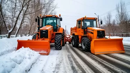 Кто и сколько зарабатывает в Казахстане на уборке снега 