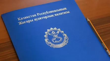 Госаудит вскрыл нарушения в минсельхозе: 28 человек наказали