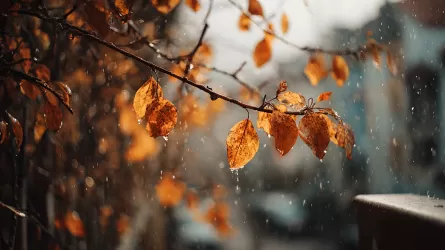 Синоптики рассказали о погоде на ближайшие три дня в мегаполисах Казахстана