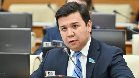 Пайдалы қазбаларды жергілікті тұрғындар лицензиясыз да қазып жатыр – депутат