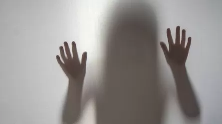 Как бороться с насилием в семьях, решали в ВКО 