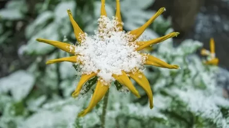 Штормовое предупреждение: туман, местами гололед прогнозируют в РК  