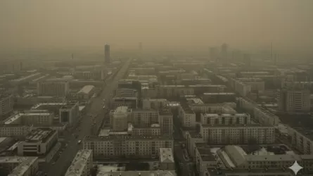 Жителям 9 городов Казахстана из-за грязного воздуха лучше отказаться от прогулок