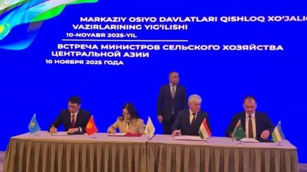 План продбезопасности до 2030 года приняли страны Центральной Азии 