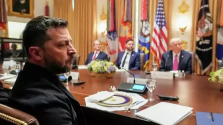 «Бейбітшілік жоспары»: Зеленский Ақ үй ұсынған жобаны қарауға алды