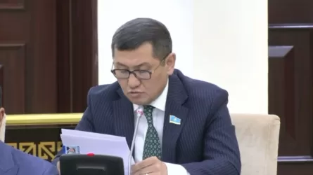 Сенатор тұрғын үйлердегі лифтілерге мемлекеттік бақылауды ТЖМ-ге қайтаруды ұсынды