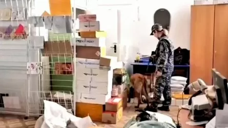 Полиция пресекла деятельность трех наркогрупп в области Улытау 