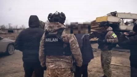 Қостанай облысында орман ағаштарын заңсыз кескендер ұсталды  