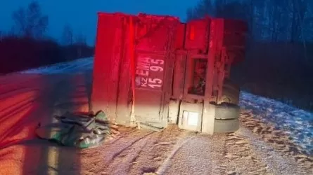 СҚО-да арпа тиелген тіркеме аударылды