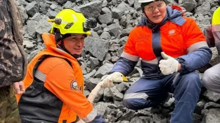 Лебедь в Кокшетау угодил в котлован горнодобывающего предприятия