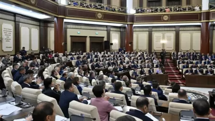 Сенат фонограмманы пайдалануды тыйым салатын заңды Мәжіліске қайтарды