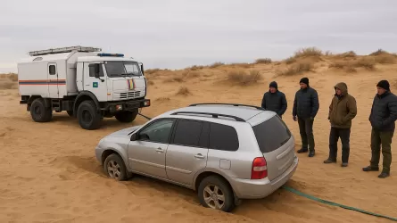 Спасатели нашли пропавших рыбаков в области Жетысу 