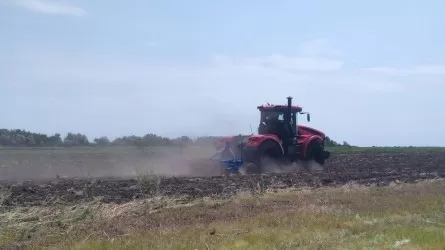 Казахстанские фермеры массово продают свой бизнес