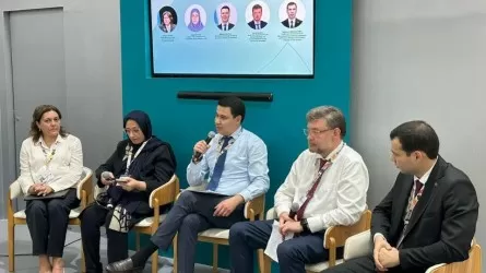 Казахстан предложил программу сохранения Каспийского моря 