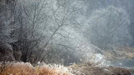 В Казахстане резко понизится температура воздуха  