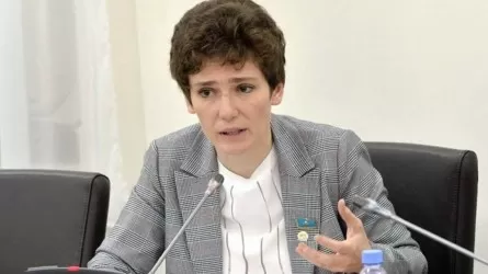 Мәжіліс депутаты Цифрлық кодекстің ерекшелігін түсіндірді