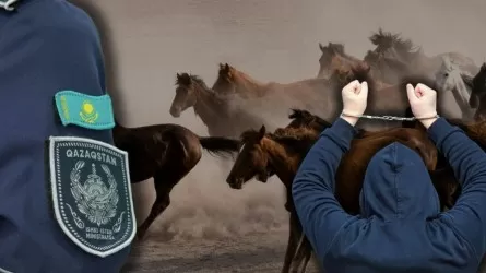 КамАЗ с похищенными лошадями остановили на блокпосту в Карагандинской области 