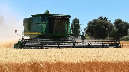 Потепление сократит урожай и в богатых странах 