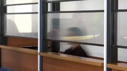 «Бейнекамераға қарап қойып, пышақтағы қанды сүрткен»: Ақтөбедегі сотта сұмдық жайттар айтылды