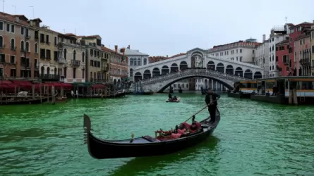 За что Грете Тунберг запретили пребывание в Венеции  