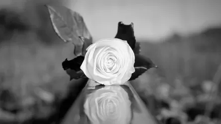 На железной дороге РК выросло количество наездов на людей 