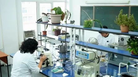 Казахстанские ученые разработали способ защиты семян от засухи