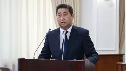 Министр Қытаймен шекарада отандық астық вагондарының кептелу себебін түсіндірді