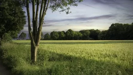 Названы страны, где люди сильнее всего связаны с природой