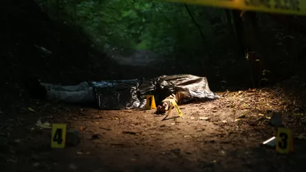 Алматыда 2 апта бұрын жоғалып кеткен ер адамның мәйіті табылды