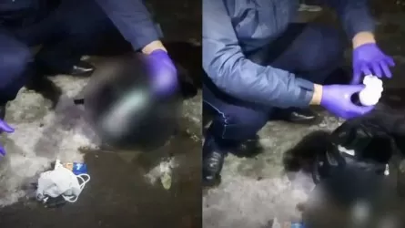 Павлодарда есірткі саудасымен онлайн айналысқандар ұсталды