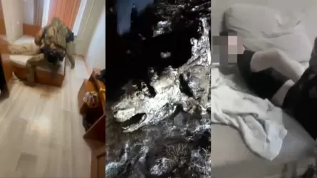 Сотрудники полиции раскрыли серию краж животных в области Улытау 