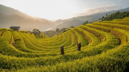 В Чили второй тур выборов президента: коммунистка против ультраправого 