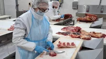 В Костанайской области выделили 2 млрд тенге на удешевление говядины
