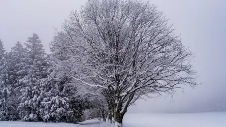 Зима в Казахстане ожидается умеренно теплая 