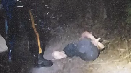 АҚШ Конгресінің экс-қызметкері өзіне шабуыл жасалғандай «қойылым» ұйымдастырған