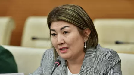 «Қоқысқа батып жатырмыз»: Мәжіліс депутаты мәселе көтерді