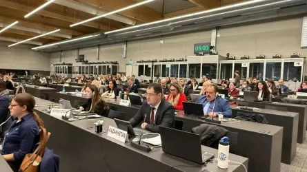 Қазақстан Женевадағы Орхус конвенциясында цифрлық экологиялық бастамаларды ұсынды