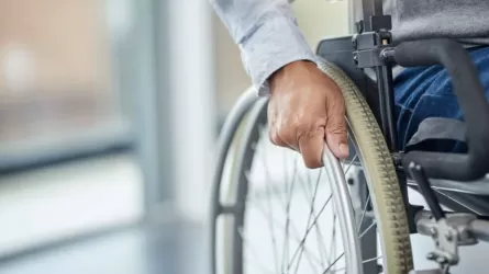 Елде 25 мыңнан астам мүгедектігі бар адам жұмыспен қамтылды 