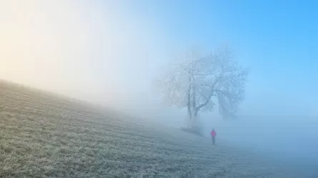 Штормовое предупреждение объявлено в 13 областях Казахстана