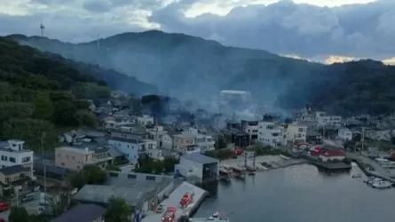 В Японии из-за сильного ветра сгорело более полутора сотен домов