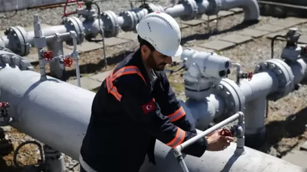 Түркия Ресей мұнайына балама тапты