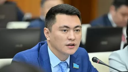 «Үйден шықпай-ақ опық жеп жатамыз»: Депутат цифрлық алаяқтық туралы айтты